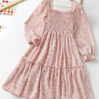 Детска рокля , снимка 1 - Детски рокли и поли - 44707599