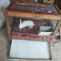 Клетка за зайци , снимка 4 - Други стоки за животни - 42283556