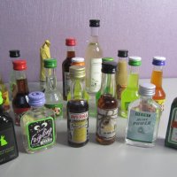 колекция 18 бр. мини бутилки, снимка 1 - Колекции - 40378648
