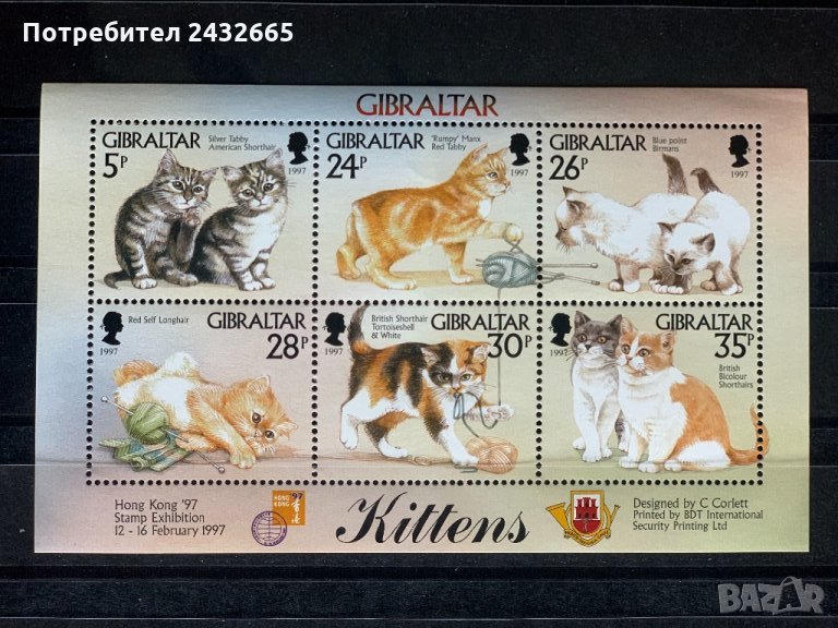 444. Гибралтар 1997 = “ Фауна. Котки. Филателна изложба ХонгКонг97  ” ,**,MNH, снимка 1