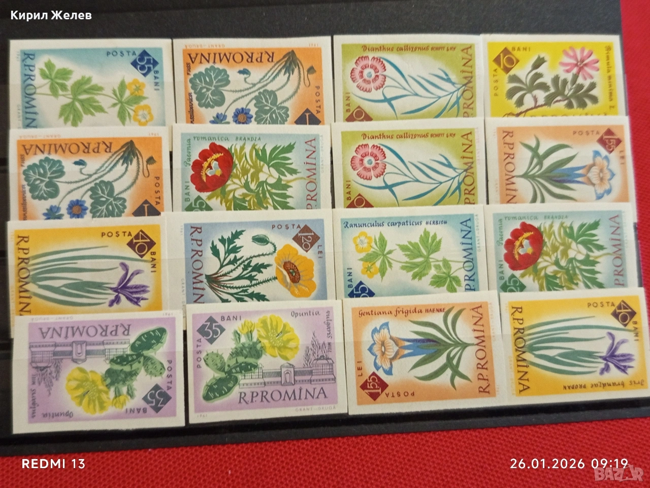 Стари пощенски марки без печат ЦВЕТЯ РУМЪНИЯ за КОЛЕКЦИЯ ДЕКОРАЦИЯ 52020, снимка 1