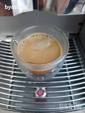 Saeco Royal Professional , снимка 15 - Кафемашини - 38612505