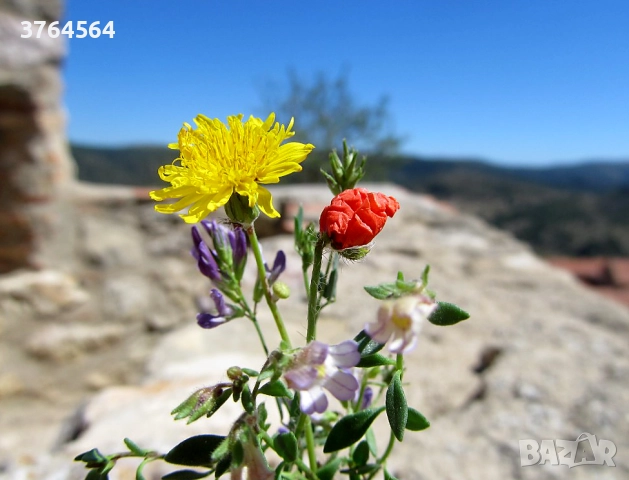 Фотоапарат Canon Power Shot SX130 IS с обектив 28-336 мм (екв. 35 мм) и стабилизация, снимка 7 - Фотоапарати - 52818738