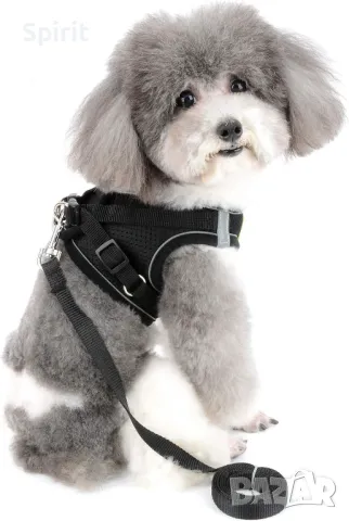 Комплект за мини и дребни породи кучета , снимка 3 - За кучета - 47808967