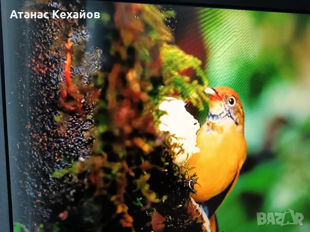 ТВ Тошиба RAGZA, снимка 4 - Телевизори - 53368720