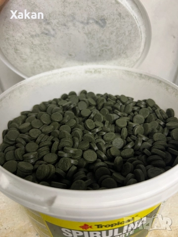 Tropical spirulina super forte, снимка 2 - Други - 32723009