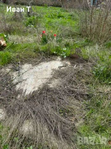 ПРОДАВА Къща в с.Шипочано област Кюстендил, снимка 11 - Къщи - 49697587