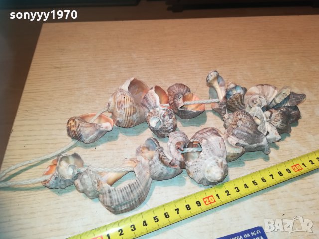 гердан от рапани 2811202032, снимка 2 - Колекции - 30944213