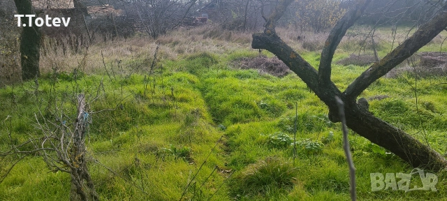 Къща в село Преселка - 80км от Варна, снимка 8 - Къщи - 52824150