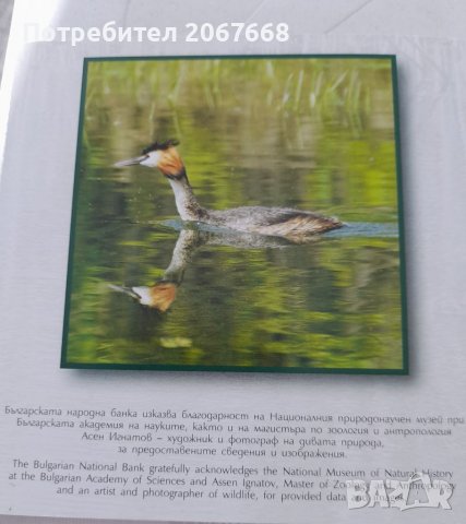 10 лева 2022 г. "Голям гмурец ", снимка 4 - Нумизматика и бонистика - 38058637