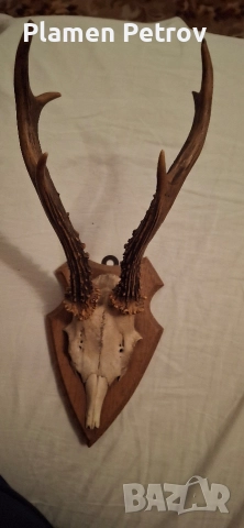 Кулие +гривна и ваза и роги , снимка 17 - Гривни - 27173851