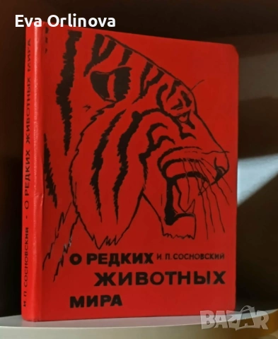 О редких животных мира - И. П. Сосновский