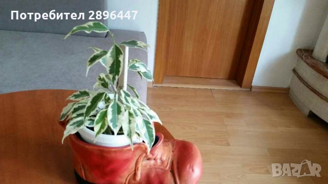 Керамична кашпа-за цвете, декорация Намалена!, снимка 13 - Вази - 34179861