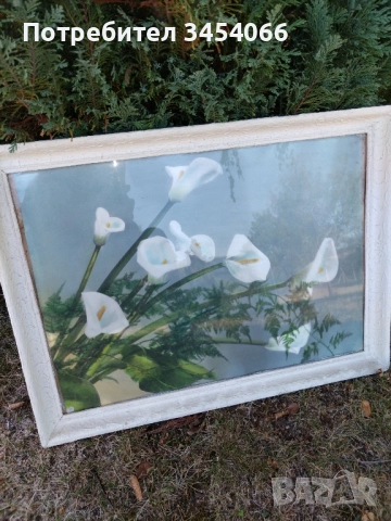 Стари картини, снимка 5 - Други ценни предмети - 51504973