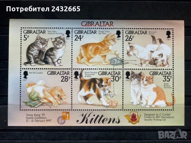 444. Гибралтар 1997 = “ Фауна. Котки. Филателна изложба ХонгКонг97  ” ,**,MNH