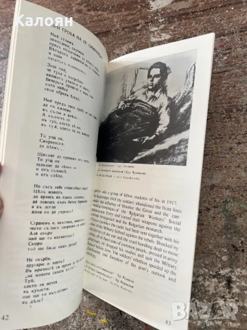 Музей Христо Смирненски дипляна , снимка 11 - Други - 51012010