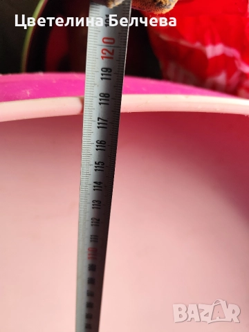 Басейн тава за улови патетата , снимка 4 - Басейни и аксесоари - 52653604