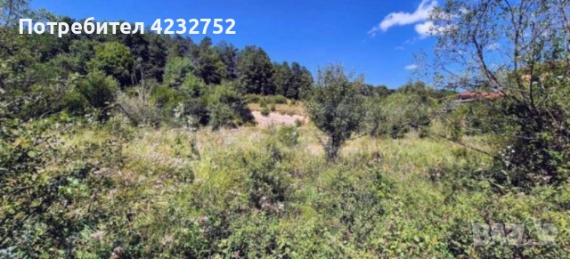 Продава парцел гр. Априлци, снимка 4 - Парцели - 53229769