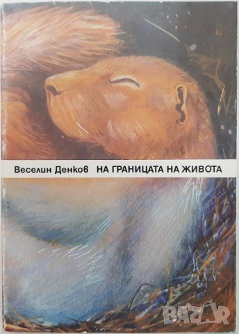 На границата на живота, Веселин Денков(14.6)