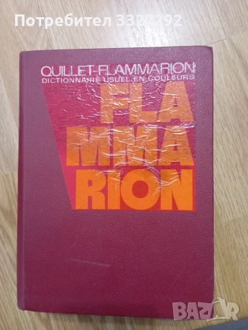 Quillet Flammarion. Dictionnaire Usuel en Couleurs Par le texte et par l'image 