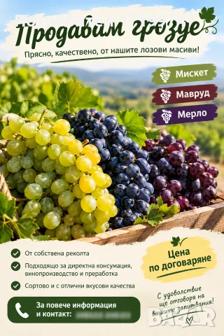 Продавам грозде