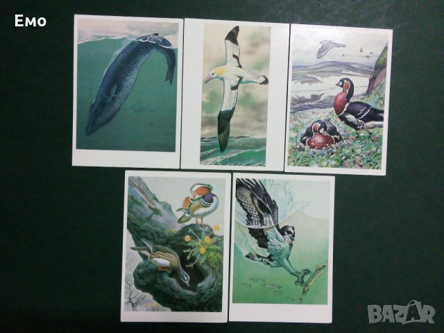 За Ценители и Колекционери! Изключително редки и отлично запазени руски комплекти картички(3)!, снимка 4 - Колекции - 31367025