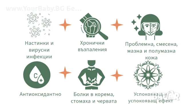 Oilo БИО Етерично Масло от Копайба (Copaifera officinalis) - Copaiba Oilo 5 мл., снимка 7 - Други - 49721434