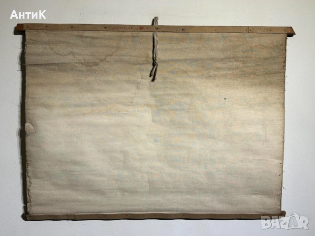 Соц Учебни Плакати Постери Ботаника, снимка 15 - Антикварни и старинни предмети - 52580865