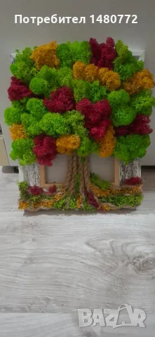 Дървото на живота със скандинавски мъх в рамка, снимка 2 - Пана - 48288866