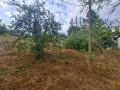 Продава се парцел (УПИ) във вилна зона Чeканица, гр. Ботевград - 525 кв.м, снимка 7