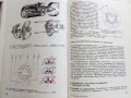 Трактори и Автомобили - Б.Смиленов,Ц.Йолов,М.Милошова - 1980г., снимка 4