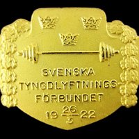 Спорт-Вдигане на тежести-Медали-Значки, снимка 15 - Колекции - 35402649