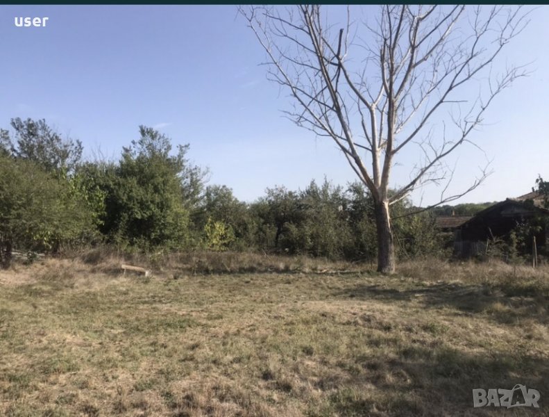 Собственик продава -Дворно място в с. Дъбравино, снимка 1