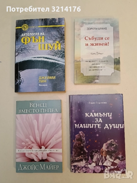 Камъни за нашите души - Лидия Старикова, снимка 1