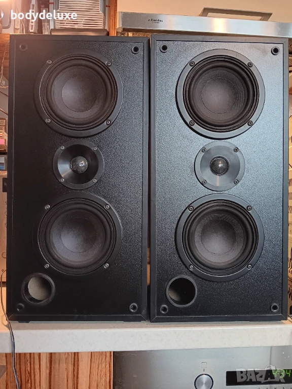 Grundig CL-BX 6  двулентови тонколони, снимка 1