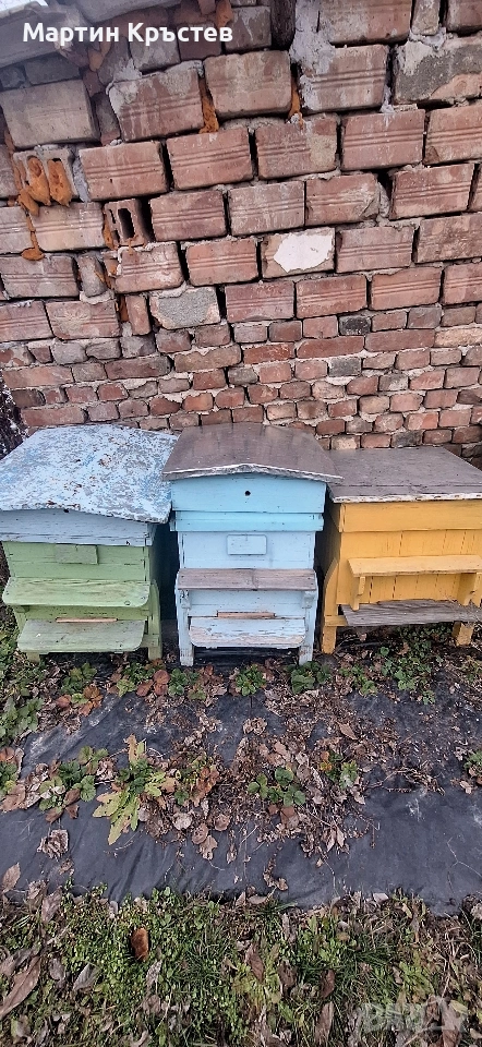 Пчелни кошери, снимка 1