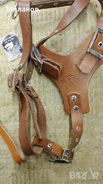 Нагръдник и повод за куче , снимка 1