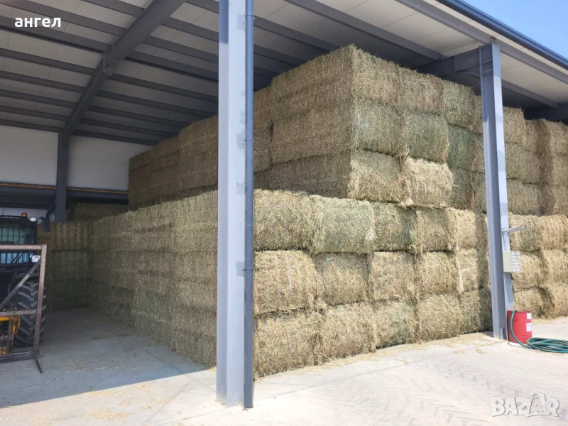 Големи бали люцерна , снимка 1