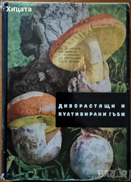 Диворастящи и култивирани гъби,Ал.Странджев,Ив.Хр.Иванов,Ан.Дренски,С.Чортанова,Ив.П.Иванов,Техника,, снимка 1