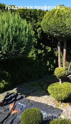 Градинарски услуги КОСЕНЕ КАСТРЕНЕ Почистване на парцели ОЗЕЛЕНЯВАНЕ, снимка 4 - Други услуги - 47757090