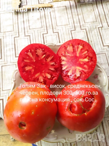 Продавам семена домати 55 сорта, снимка 7 - Сортови семена и луковици - 53097136