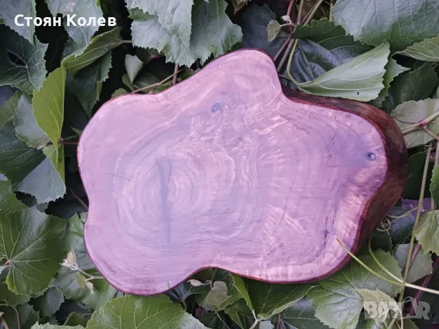 купа от орех естествена форма. , снимка 4 - Прибори за хранене, готвене и сервиране - 48741115