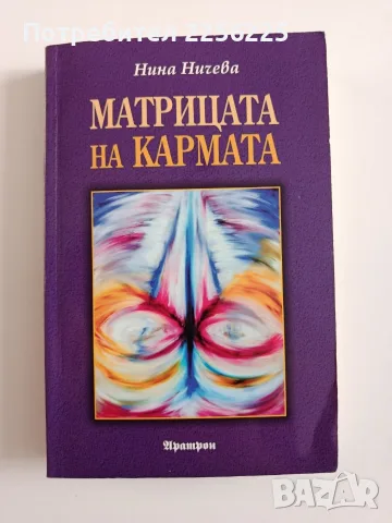 Матрицата на кармата