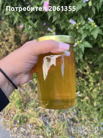 Био Липов пчелен мед от подножието на Троянския Балкан 🐝, снимка 4 - За пчели - 55691928