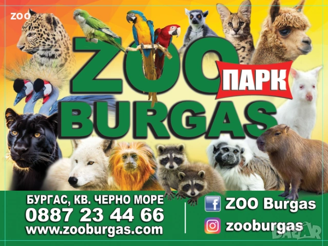 работници в зоопарк Бургас начална заплата - 2000лв-1 022,58 €
