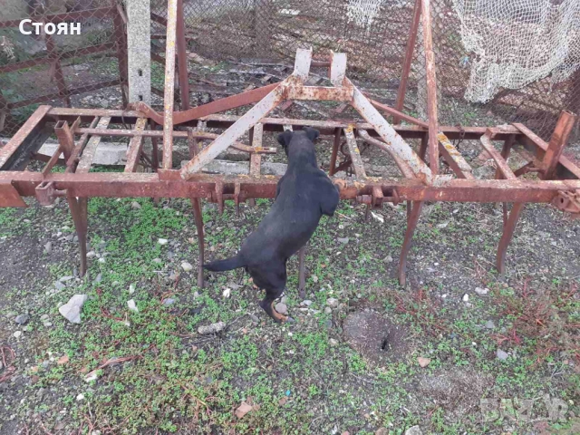 Култиватор