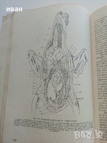 Приложна Зоология - А.Германов - 1987г., снимка 5 - Специализирана литература - 36805759
