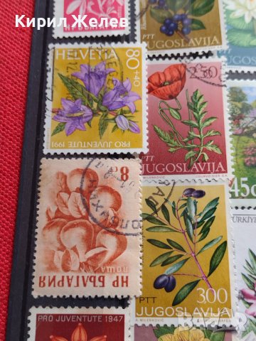 Пощенски марки серия ЦВЕТЯ поща България, Югославия редки за КОЛЕКЦИЯ 22659, снимка 4 - Филателия - 40316538
