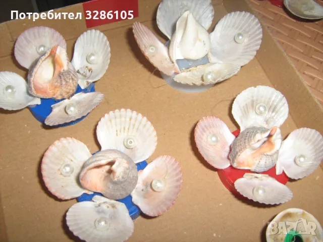 различни фигури от мидички, снимка 5 - Колекции - 48193374