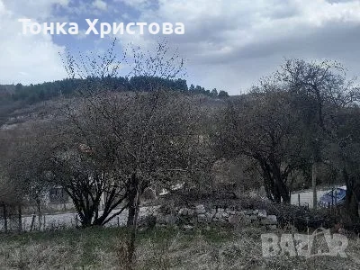 Парцел в регулация